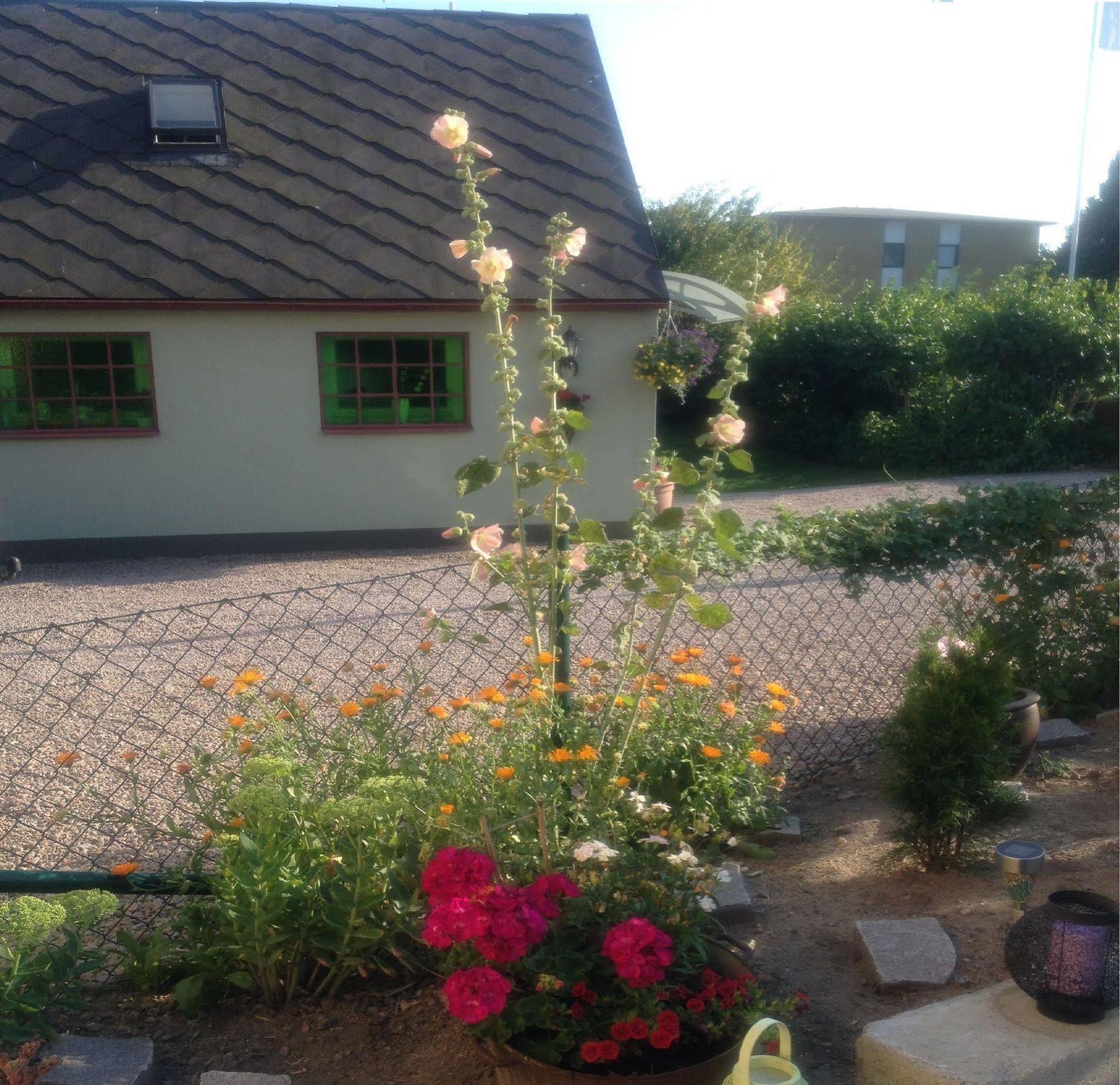 Vivans Bed And Self Catering Kristianstad Esterno foto